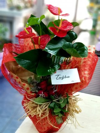 Anthurium (Antoryum) Çiçeği ve Güller, Altıntaş Çiçekçi
