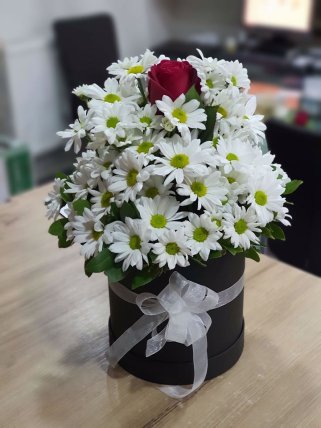 Kutuda Beyaz Papatya Aranjmanı, Altıntaş Çiçekçi