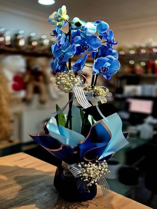 Mavi Orkide, Altıntaş çiçek siparişi