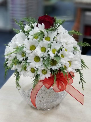 Papatya Küresi ve Bir Gül