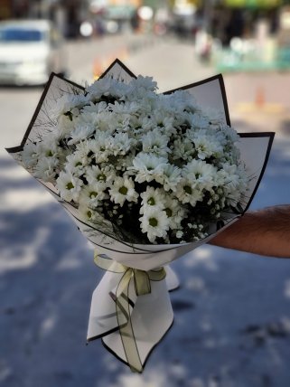 Papatyalar İnce ve Narin, Kütahya çiçek siparişi