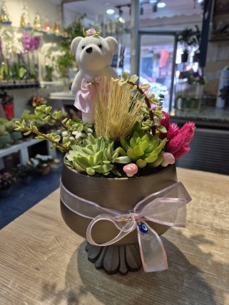 Sculent Güzelliği 2, Kütahya Çiçekçi