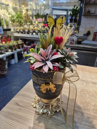 Yapay Sculent Aranjman, Kütahya Altıntaş Çiçekçi