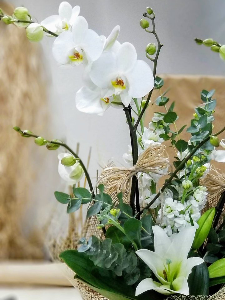 Beyaz Lilyum ve Orkide, Altıntaş çiçek siparişi