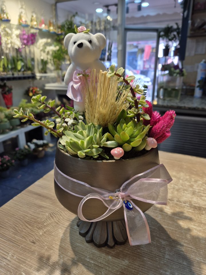 Sculent Güzelliği 2, Kütahya Çiçekçi