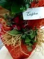 Çiçekçi - Anthurium (Antoryum) Çiçeği ve Güller