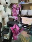 Çiçekçi - Pembe Orkide